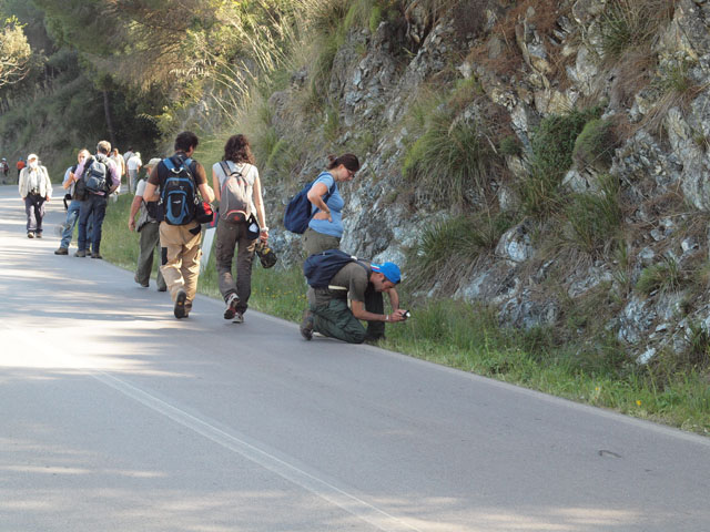 Raduno GIROS ....inserite le vostre immagini