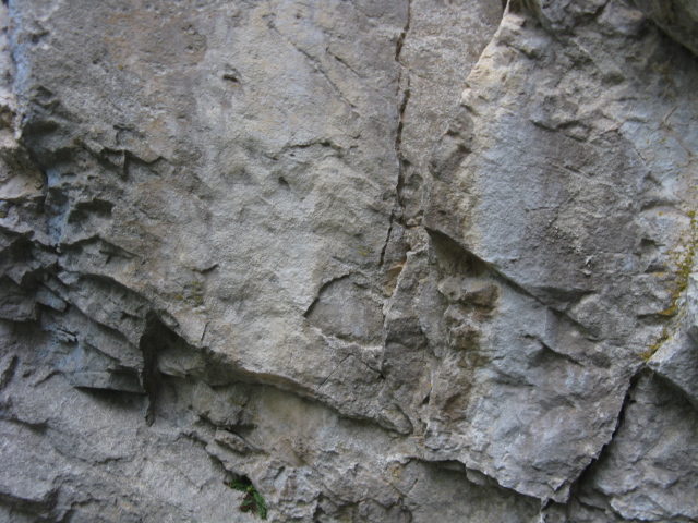 Osservazioni geologiche