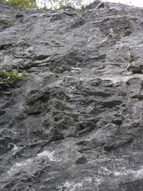 Osservazioni geologiche