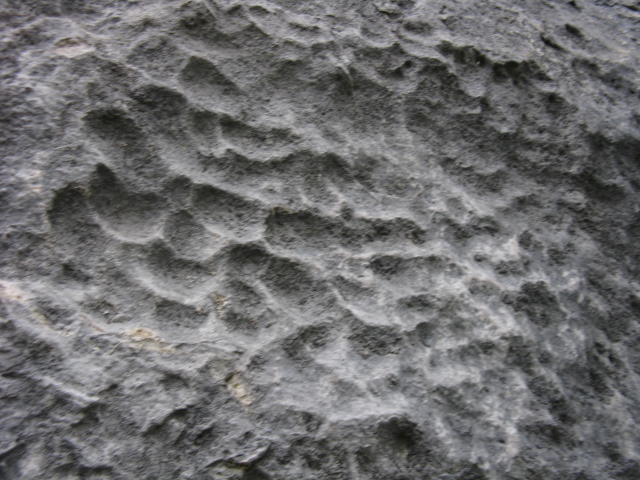 Osservazioni geologiche