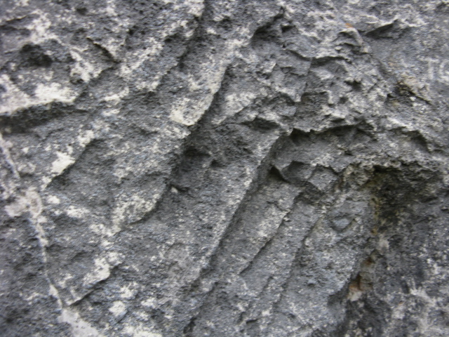 Osservazioni geologiche