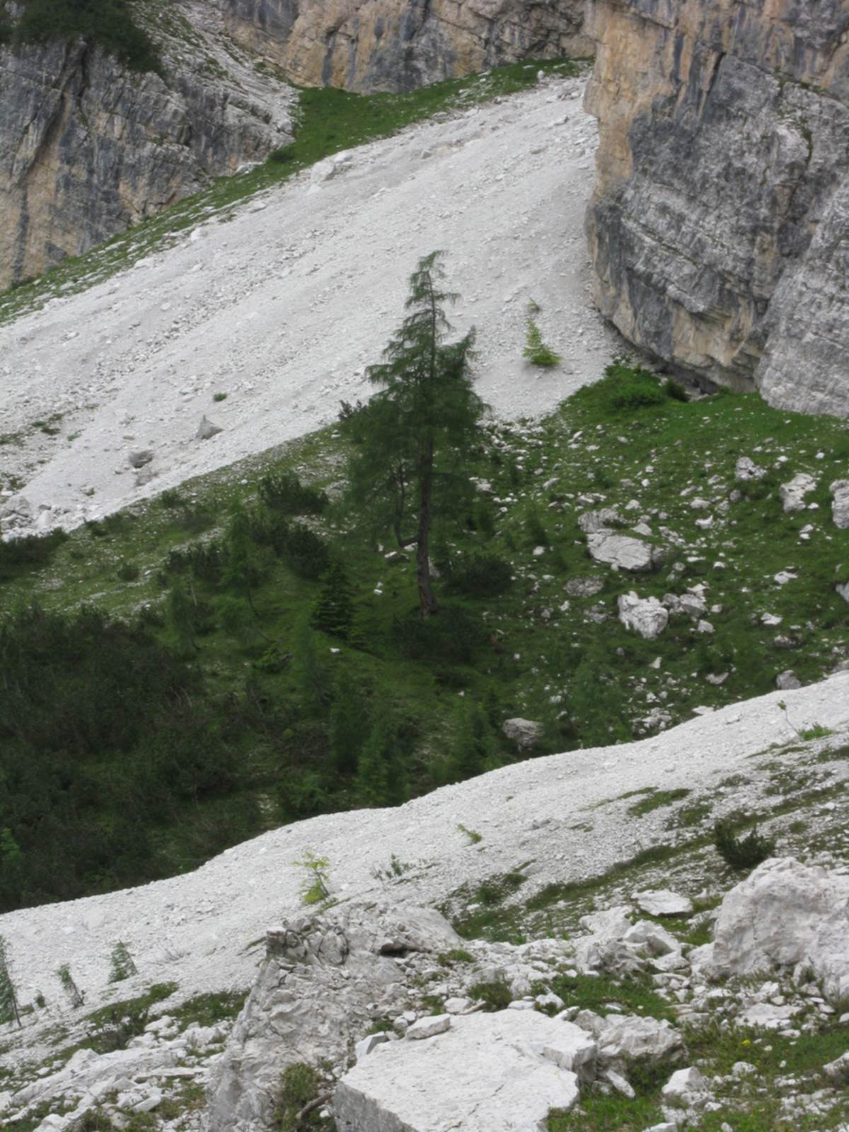 Il Lares del Belo