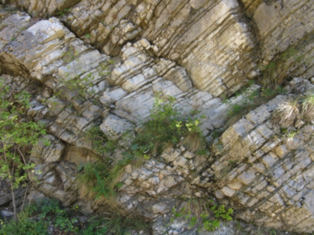 Osservazioni geologiche