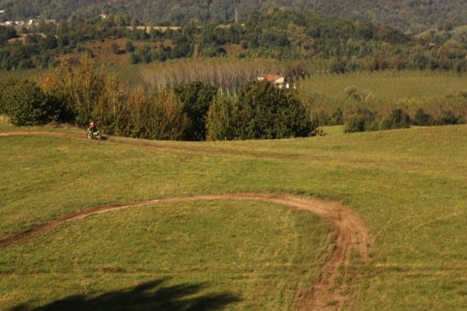 Friuli VG: distruzione dei prati stabili (non portano soldi)