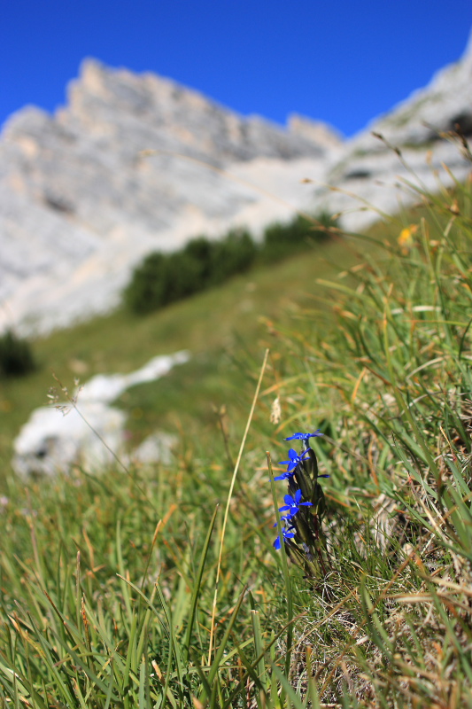 Nel gruppo del Sorapss (Dolomiti)