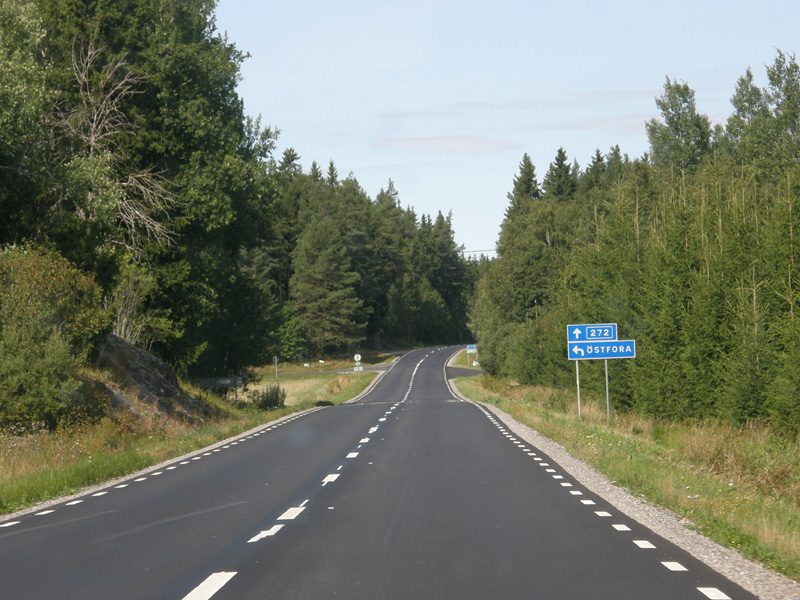 Una strada nel bosco