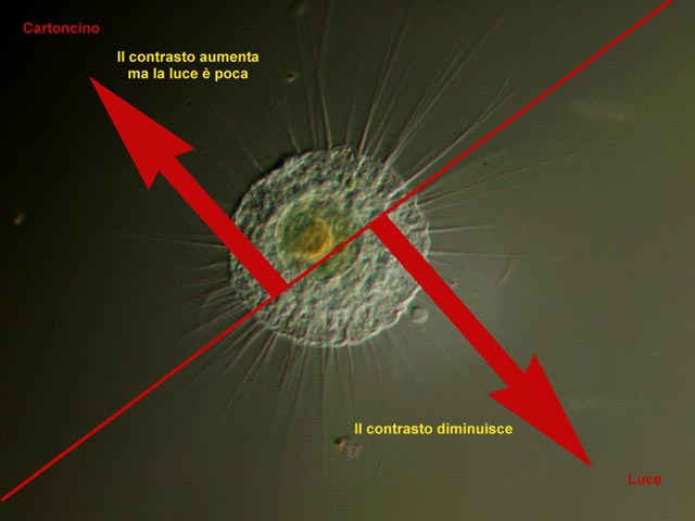 Confronto: il DIC e l''Illuminazione Radente