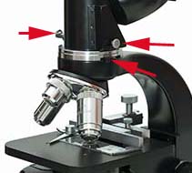 Microscopio Leitz e Fotomicrografia