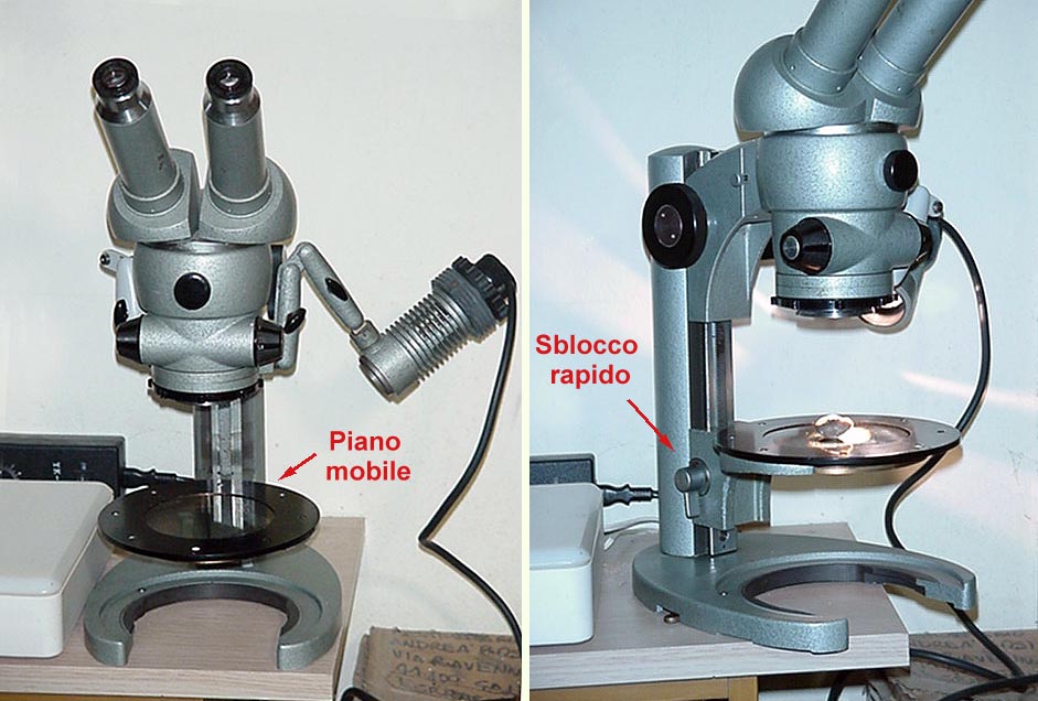 La messa a fuoco degli stereo microscopi