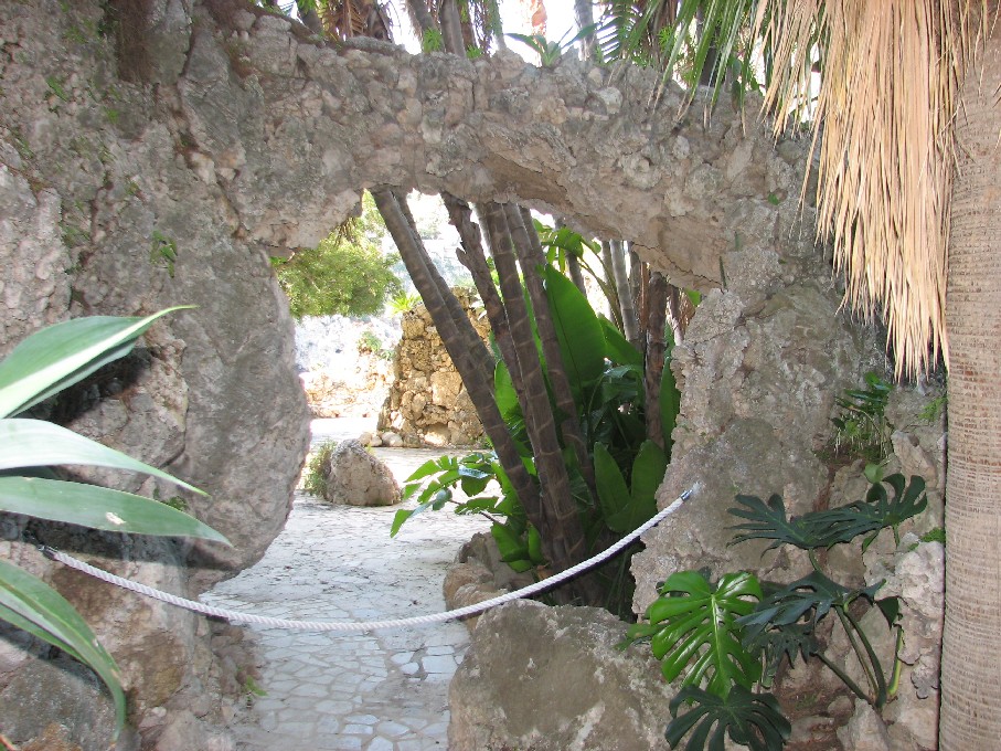 Podarcis siculus dell''Isola Bella di Taormina