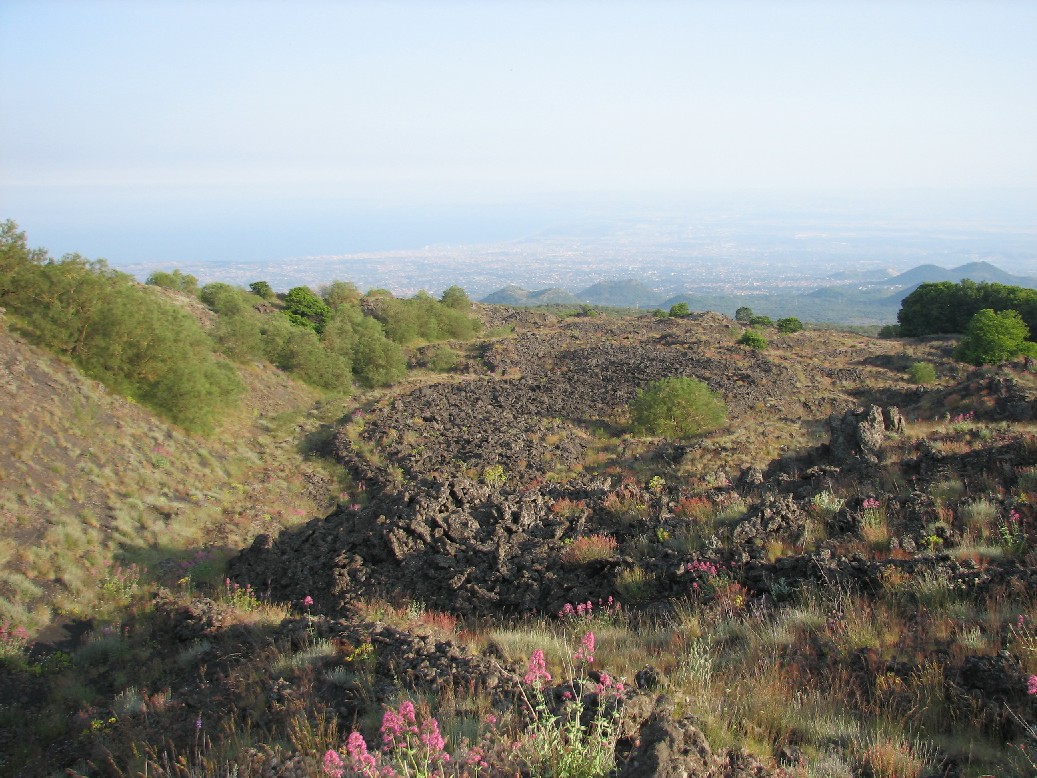 Sull''Etna al tramonto