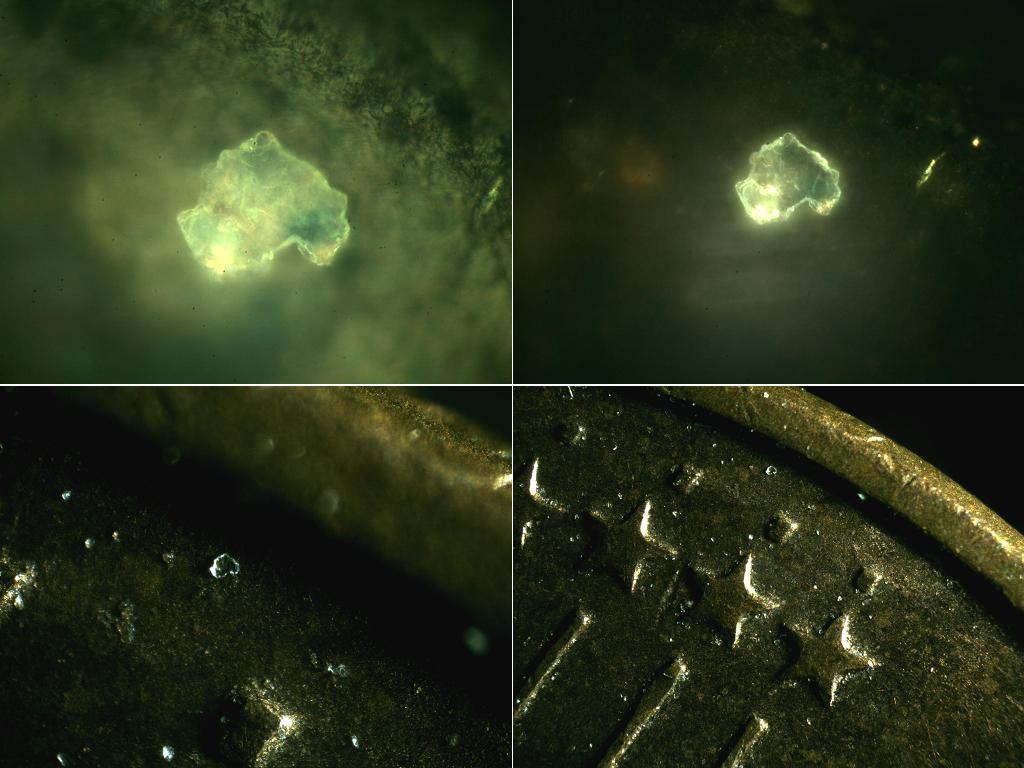 microscopio epilluminazione