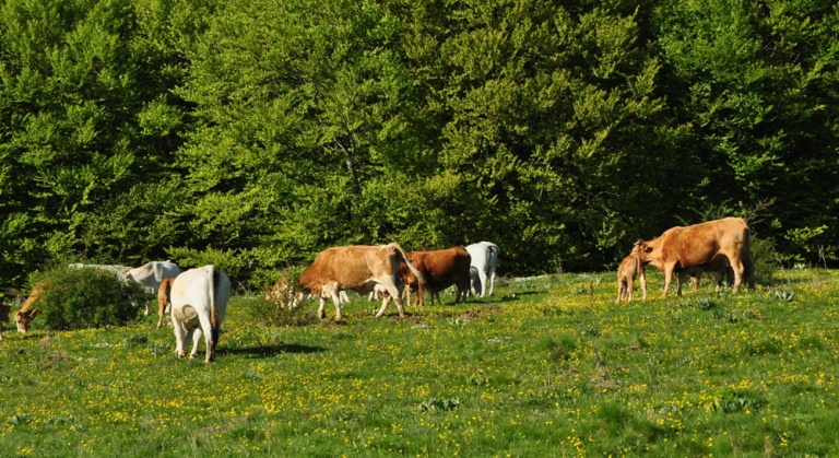 Monti della Laga - tre vette per due giornate