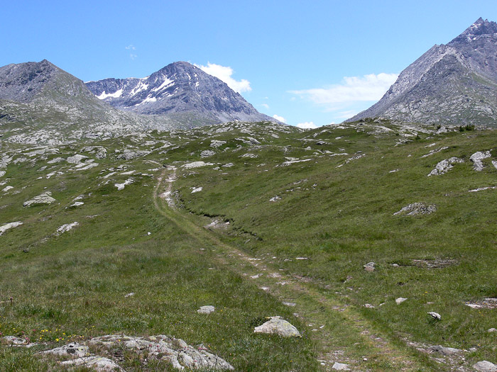 Scenari alpini