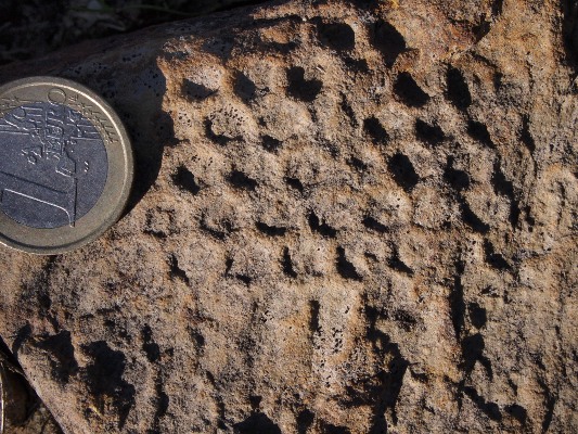 tracce fossili dell''oligocene - Paleodictyon