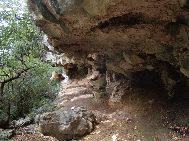 dalla Sardegna