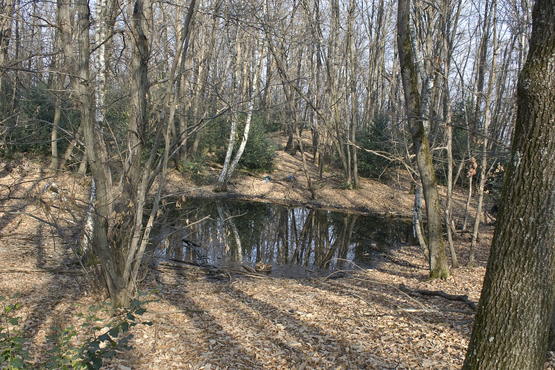 Alla ricerca dei Tritoni...