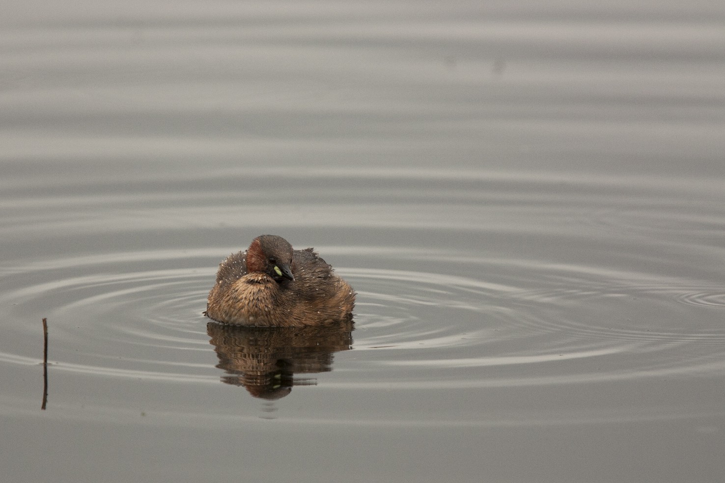 Al Lago di Baratz