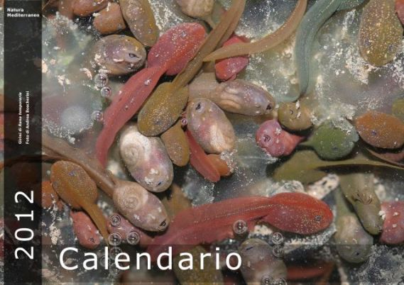 Calendario 2012