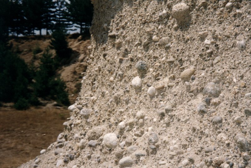 Foraminiferi nel lago?