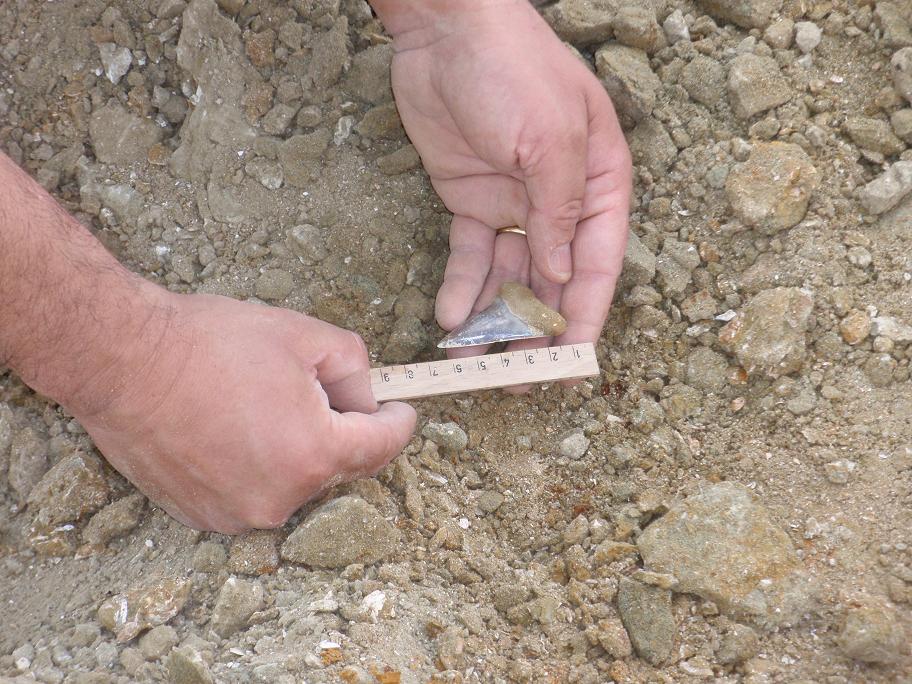 Escursione paleontologica in Toscana