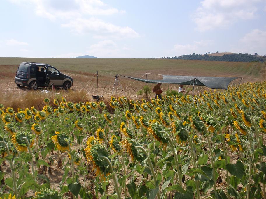 Escursione paleontologica in Toscana