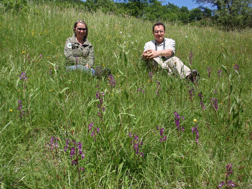 Escursione orchidofila nelle Langhe  (15 maggio)