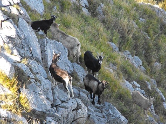 Monte Freddone - Alpi Apuane