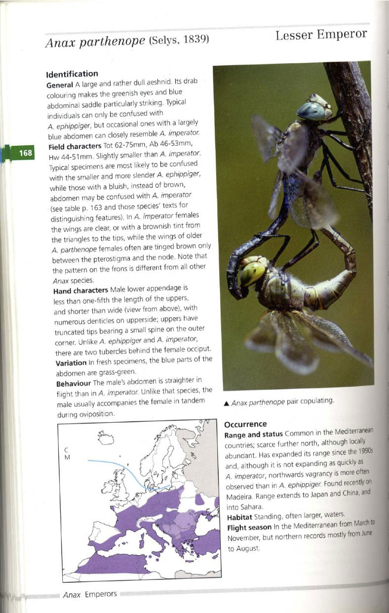 Dijkstra-Lewington Field Guide to the Dragonflies of Britain