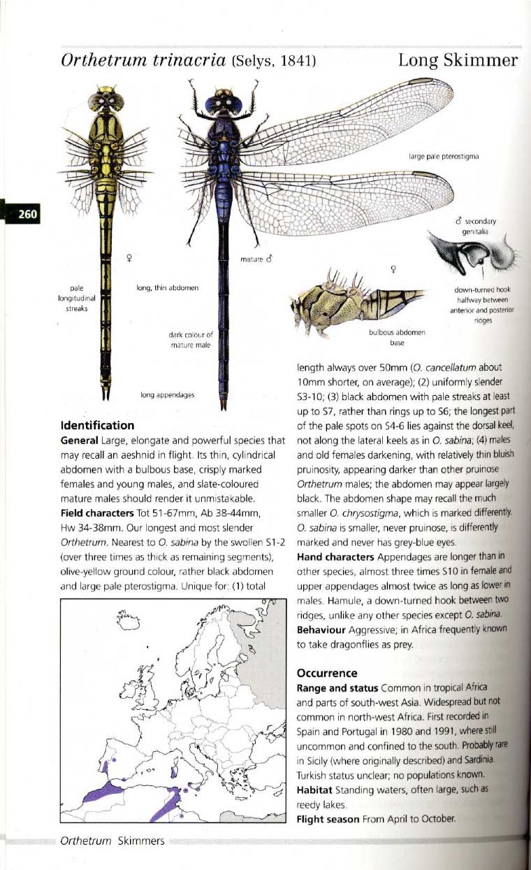 Dijkstra-Lewington Field Guide to the Dragonflies of Britain