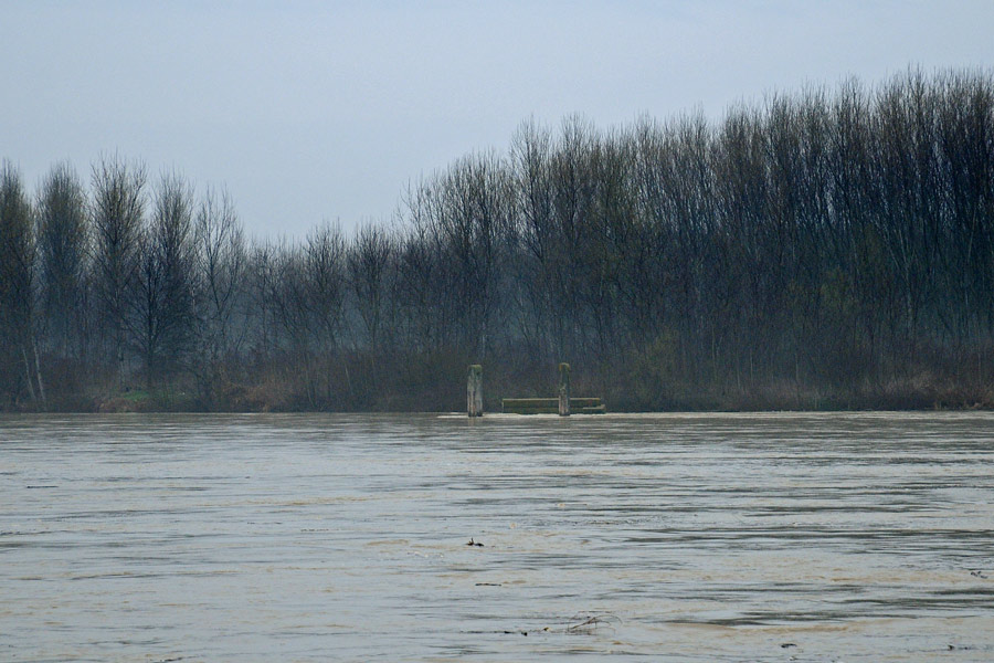 Il Grande Fiume: itinerari intorno al Po