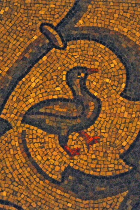 Ravenna ed i suoi mosaici