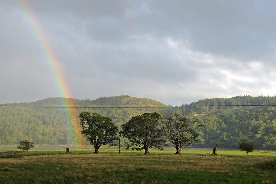 Seven men of  Moidart