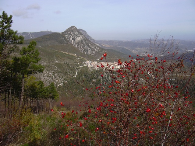 pietra tra le pietre (omaggio a Castelletta)