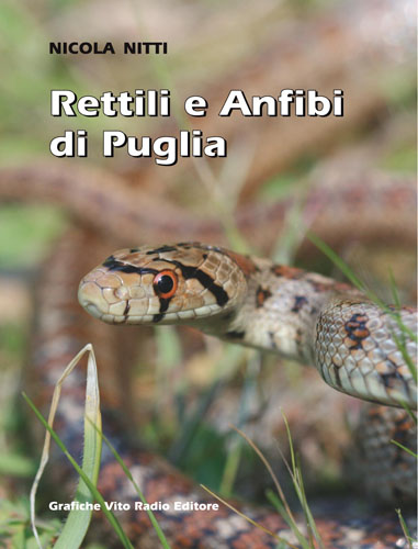 Presentazione libro 