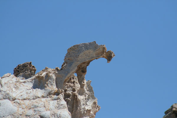 scolpito dalla natura...