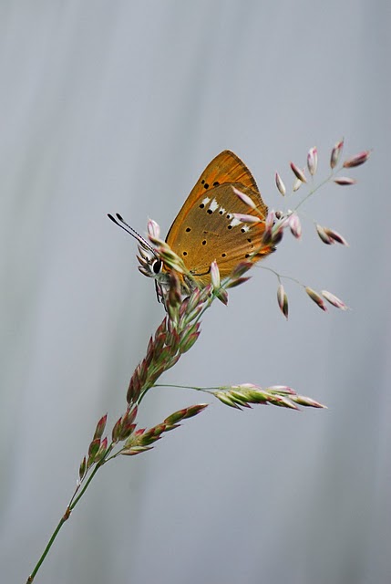 giornata proficua