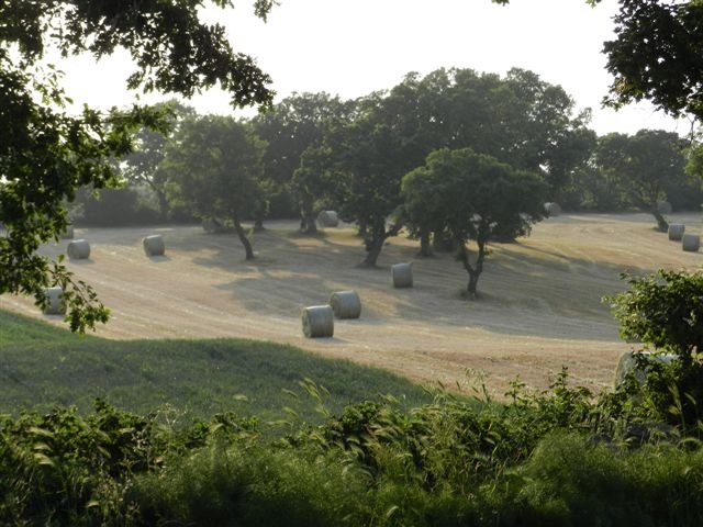 Passeggiata in campagna