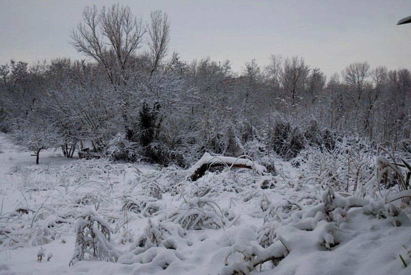 A Roma (durante la neve).