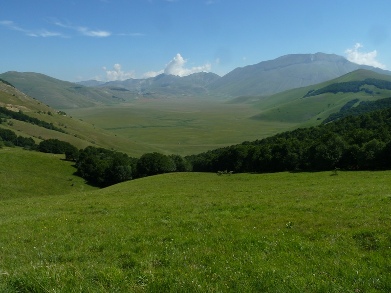 farfalle sui Sibillini