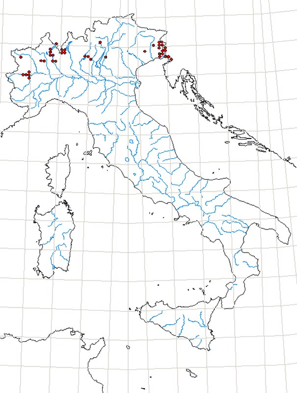 Farfalle dal Monte Subasio