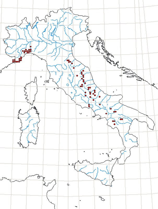 Farfalle dal Monte Subasio