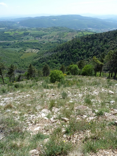 Sta volando il mio