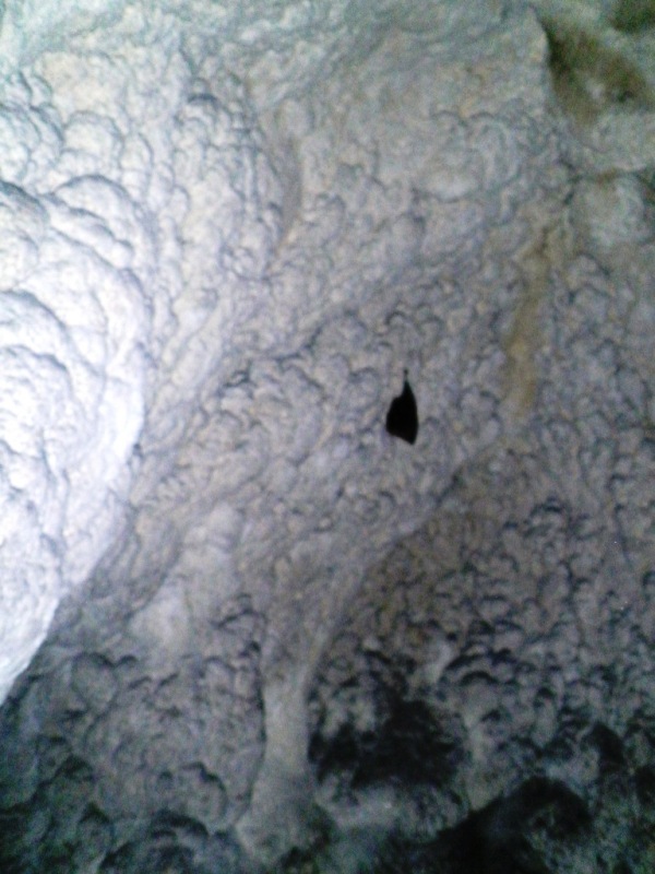 l''abitante delle grotte