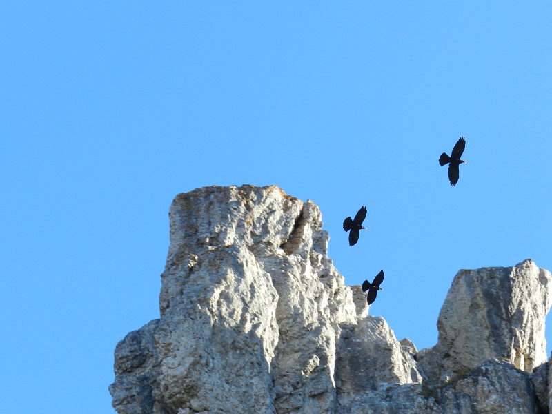 Scatti dalle Dolomiti