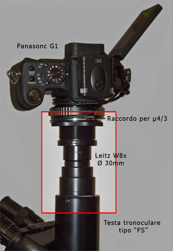 Microscopio Leitz e Fotomicrografia