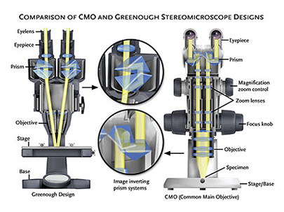 Microscopio Stereo: nuovo o vecchio, zoom o fisso ?