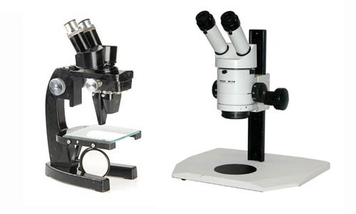 Microscopio Stereo: nuovo o vecchio, zoom o fisso ?