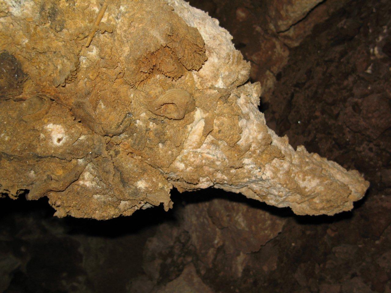 Interessante grotta fossile