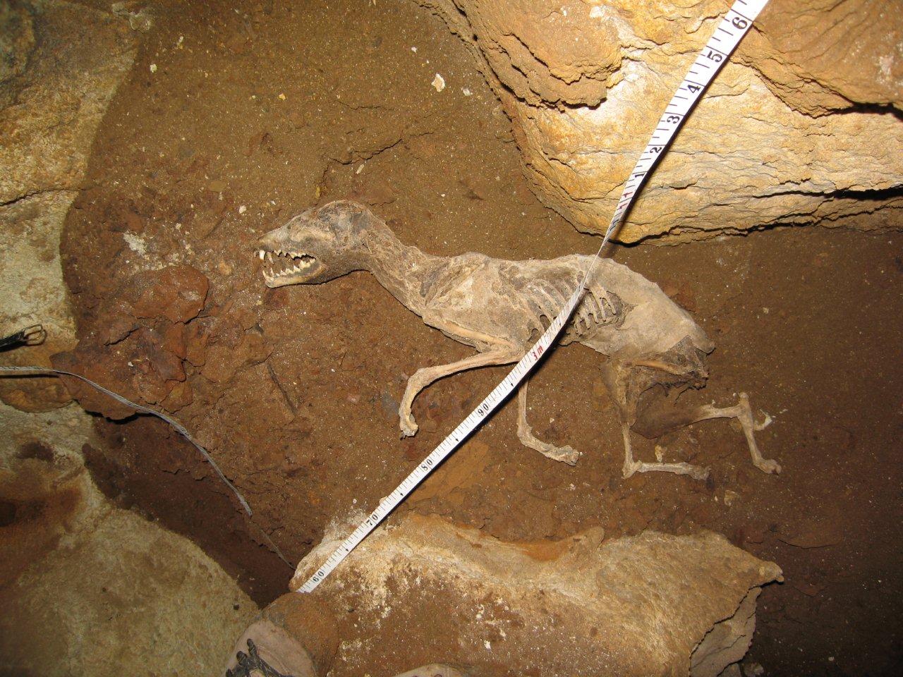 Interessante grotta fossile